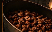 Torra das amêndoas de cacau